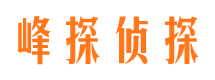 鄂城市私家侦探